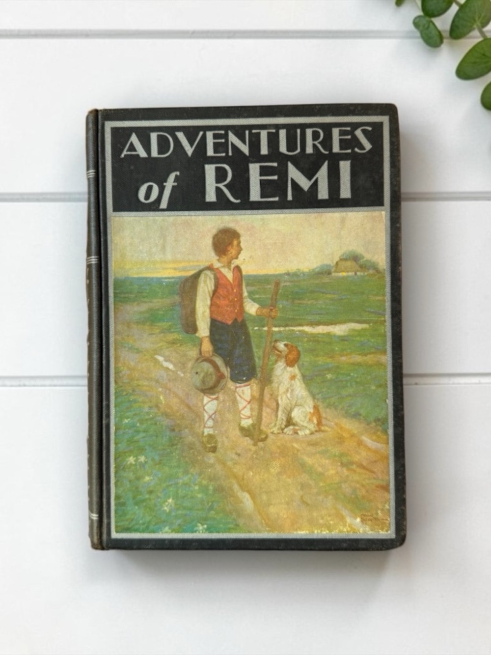 Vintage 1934 The Adventures of Remi Windermere Series Rand McNally Illustrated